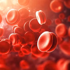 Blood Sugar Support