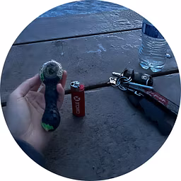 Profile picture