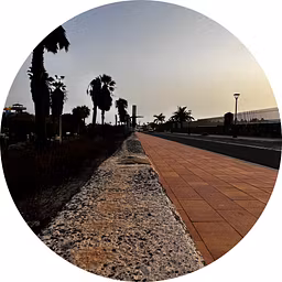 Profile picture
