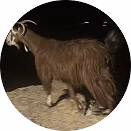 Profile picture