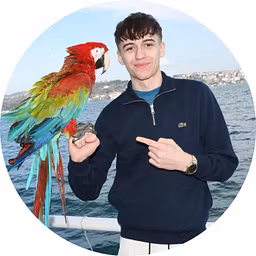 Profile picture