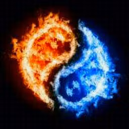 Profile picture