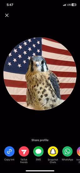 Profile picture
