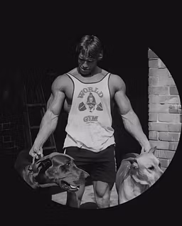 Profile picture