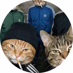 Profile picture