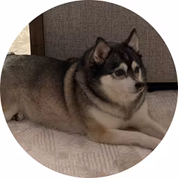 Profile picture