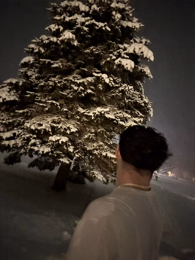 Profile picture