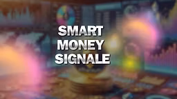 Smart Money Discord Zugang