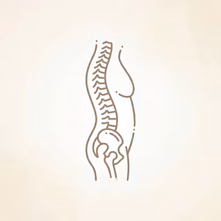 12 Min Lower Back Routine listing image on Whop