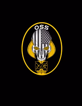 The OSS 300 logo