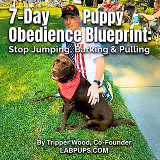 Tripper's Dog Training listing image on Whop