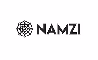 NAMZI logo