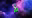 Exclusive FREE trading Discord
