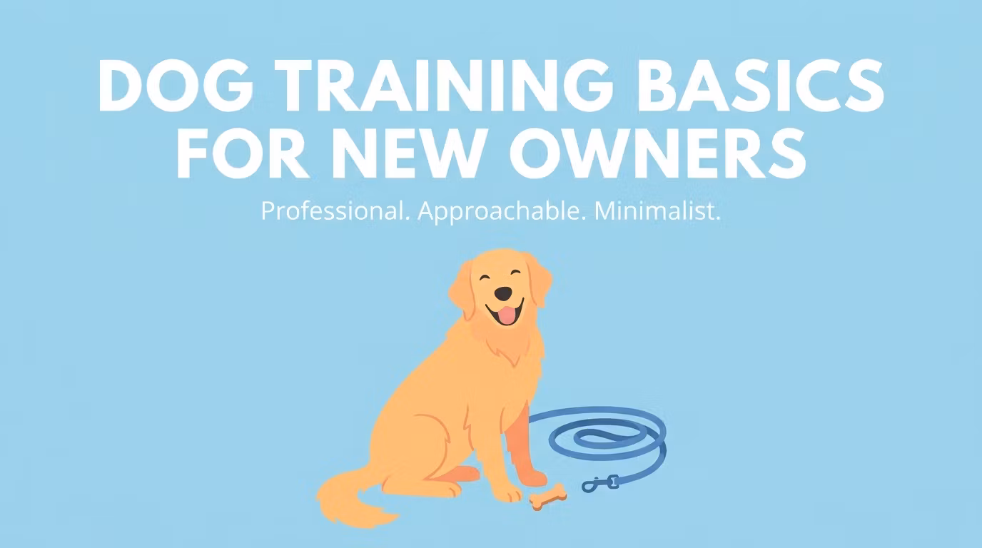 Dog Training Basics for New Owners