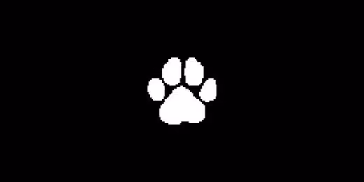 Mooncatz