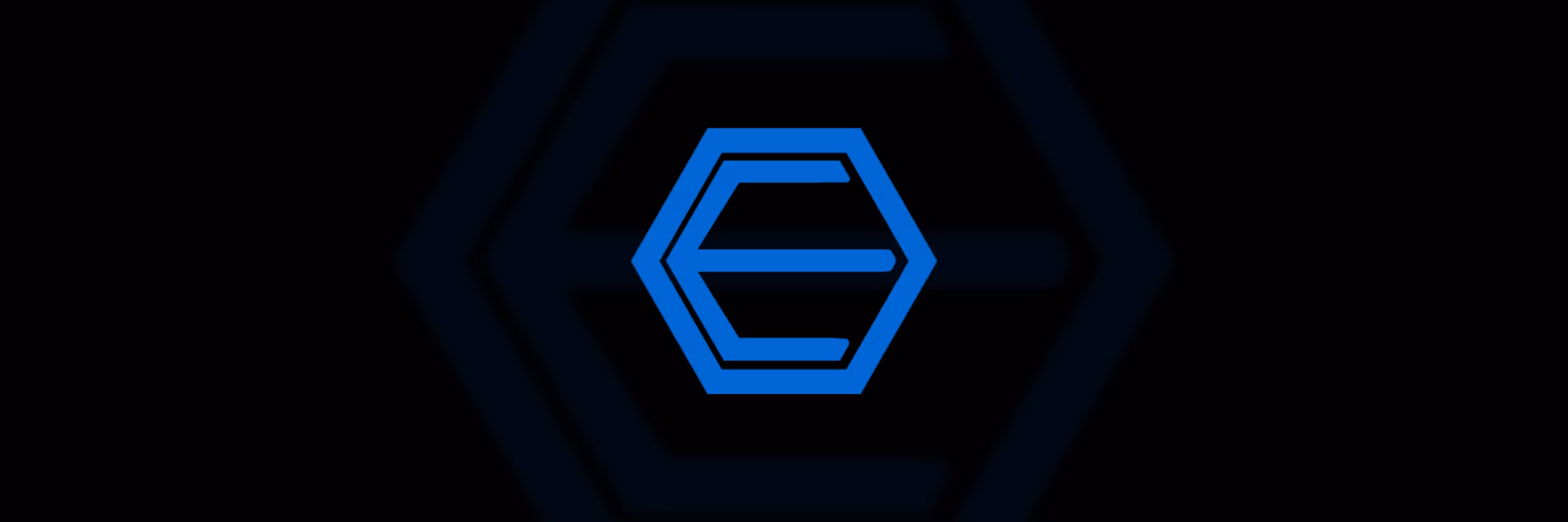 EcomVision