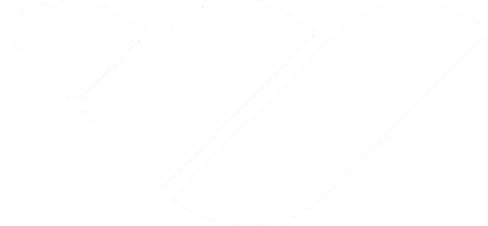 duplicate