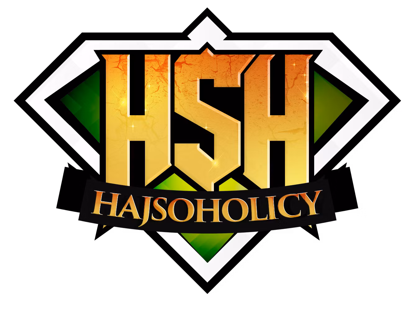 HajsoHolicy