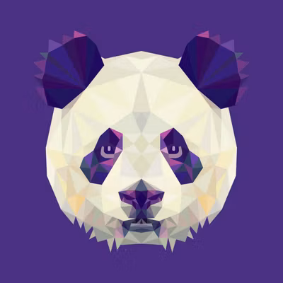 Panda Options