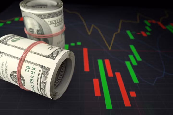 StackzNetwork