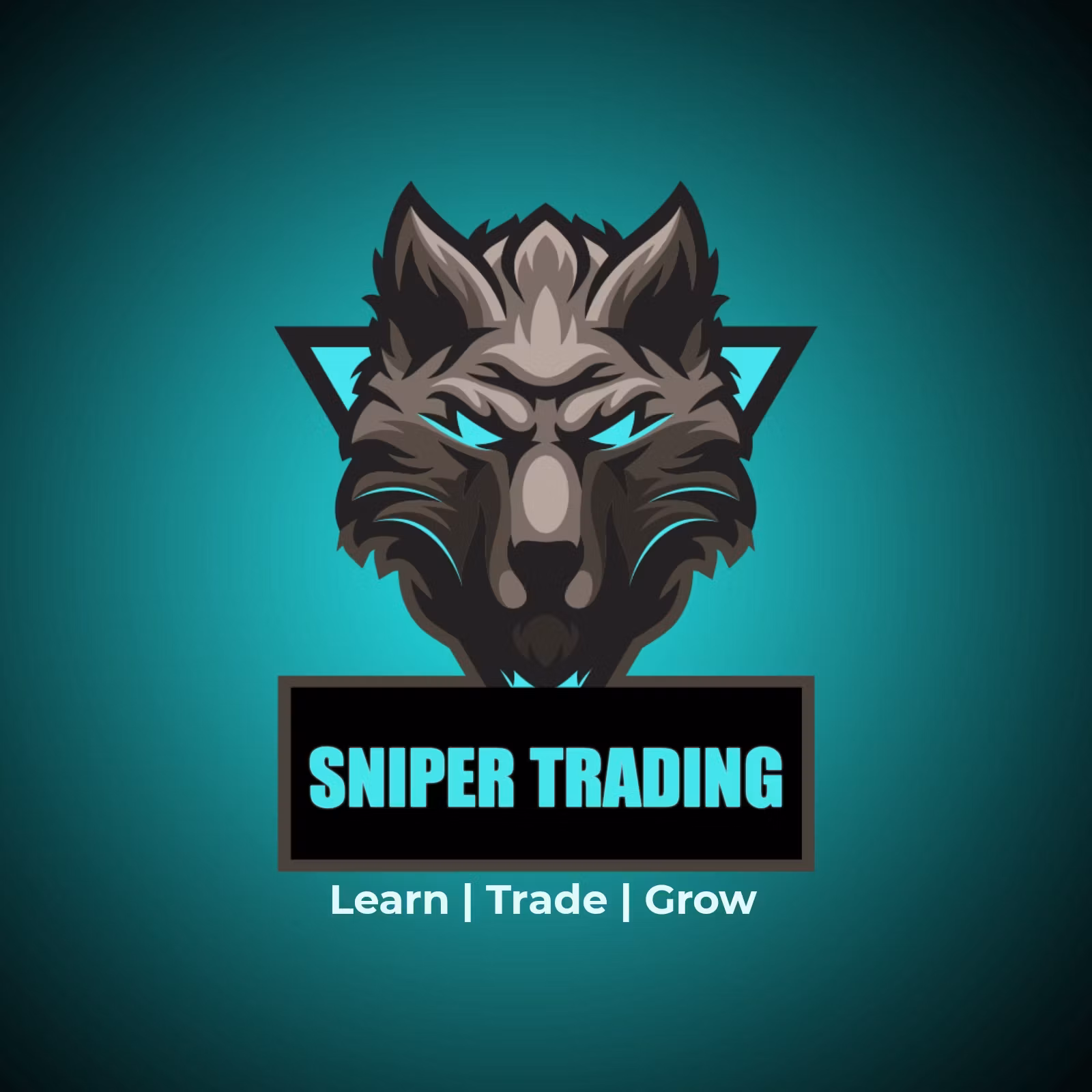 Sniper Trading 