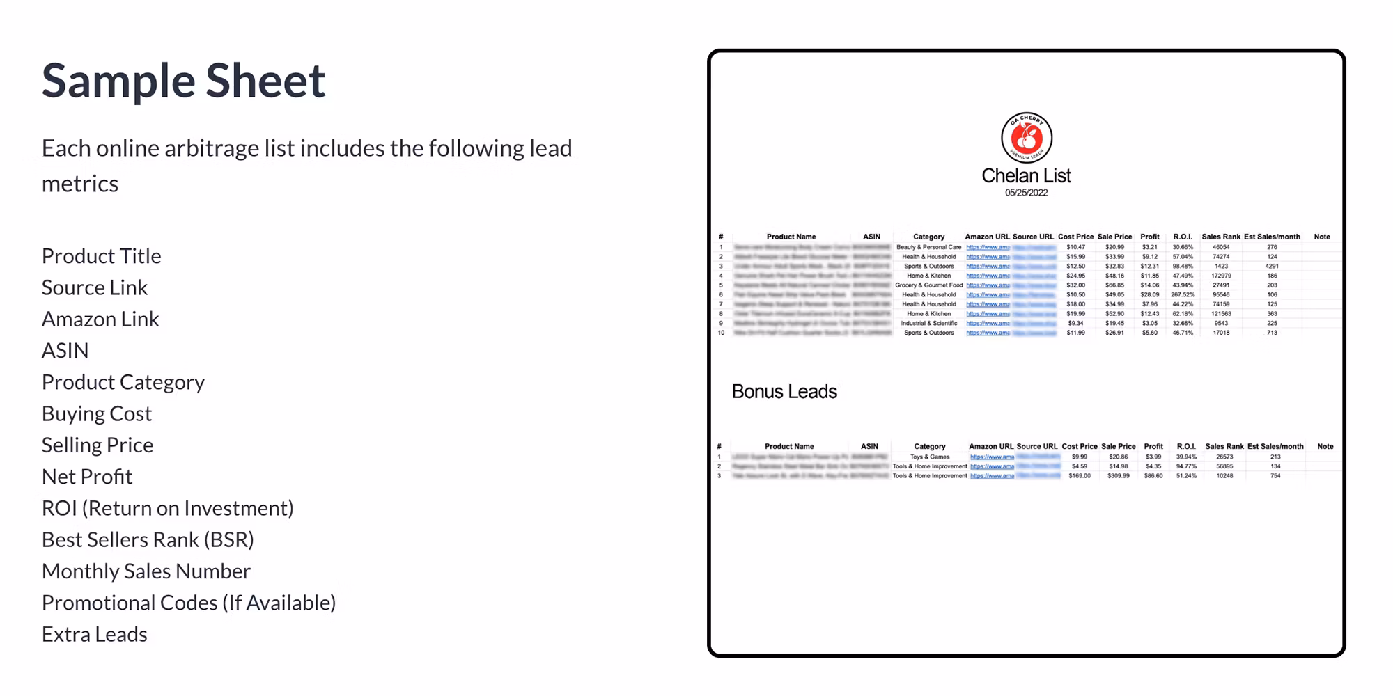 Leads Group Access