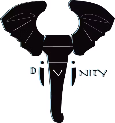 DIVINITY SPORTS 