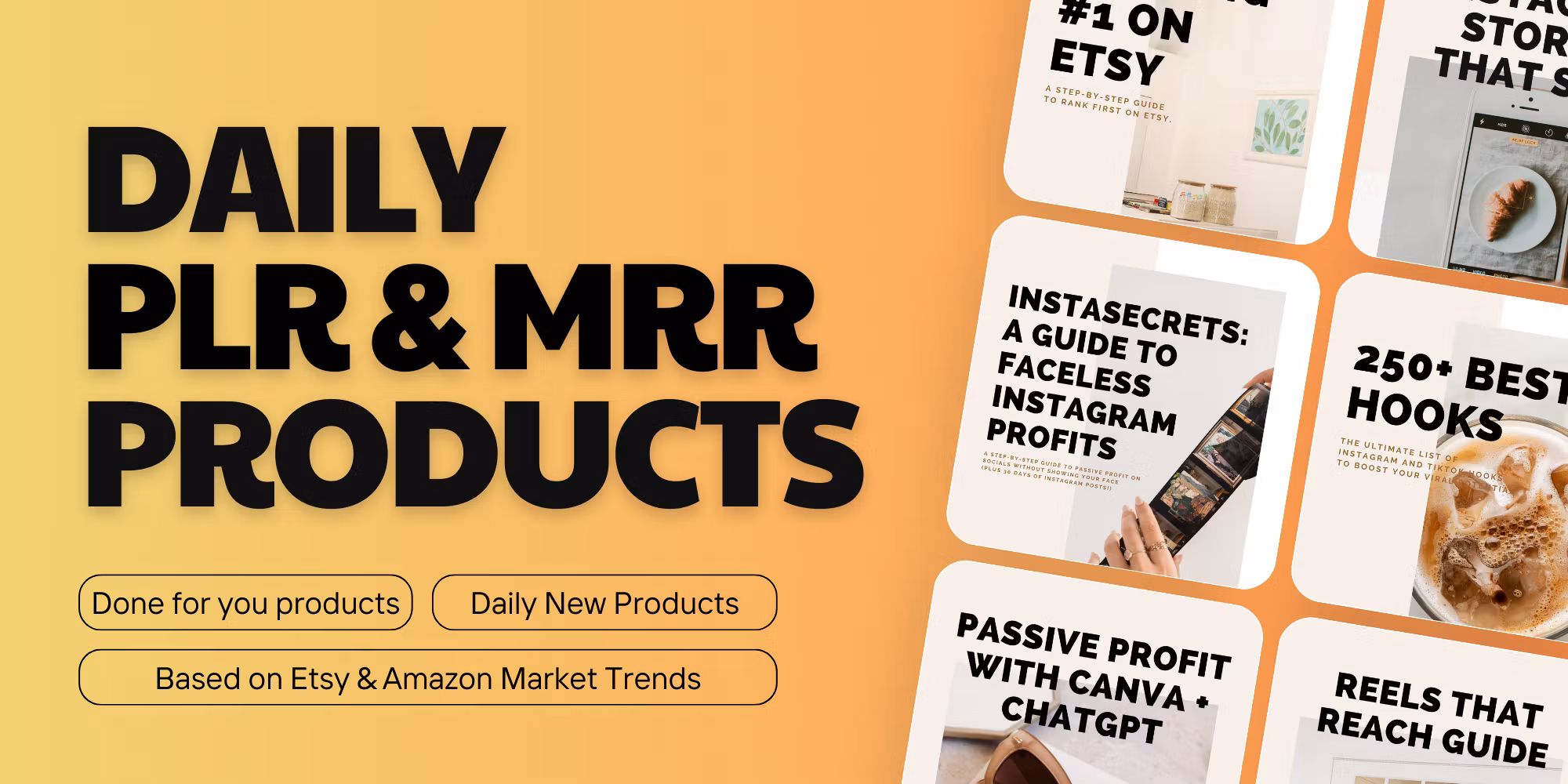 Trends to Profits - PLR & MRR Products