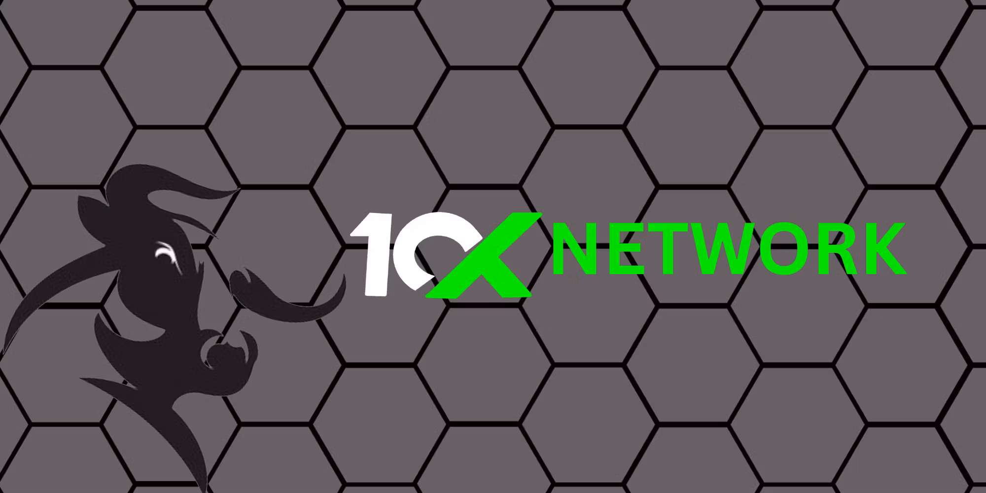 10X NETWORK