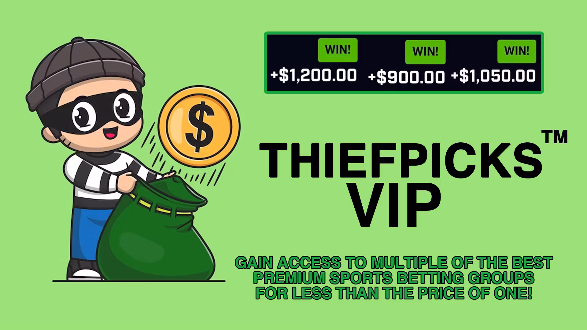 ThiefPicks