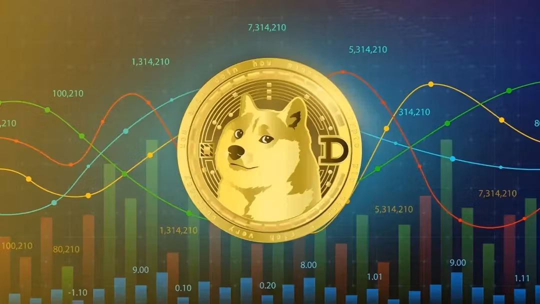 Memecoin Casino 69: High Risk Plays