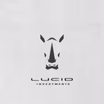 Lucid Investing