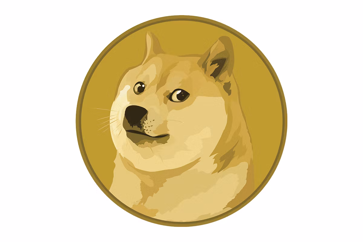 Left Curve Capital Discord