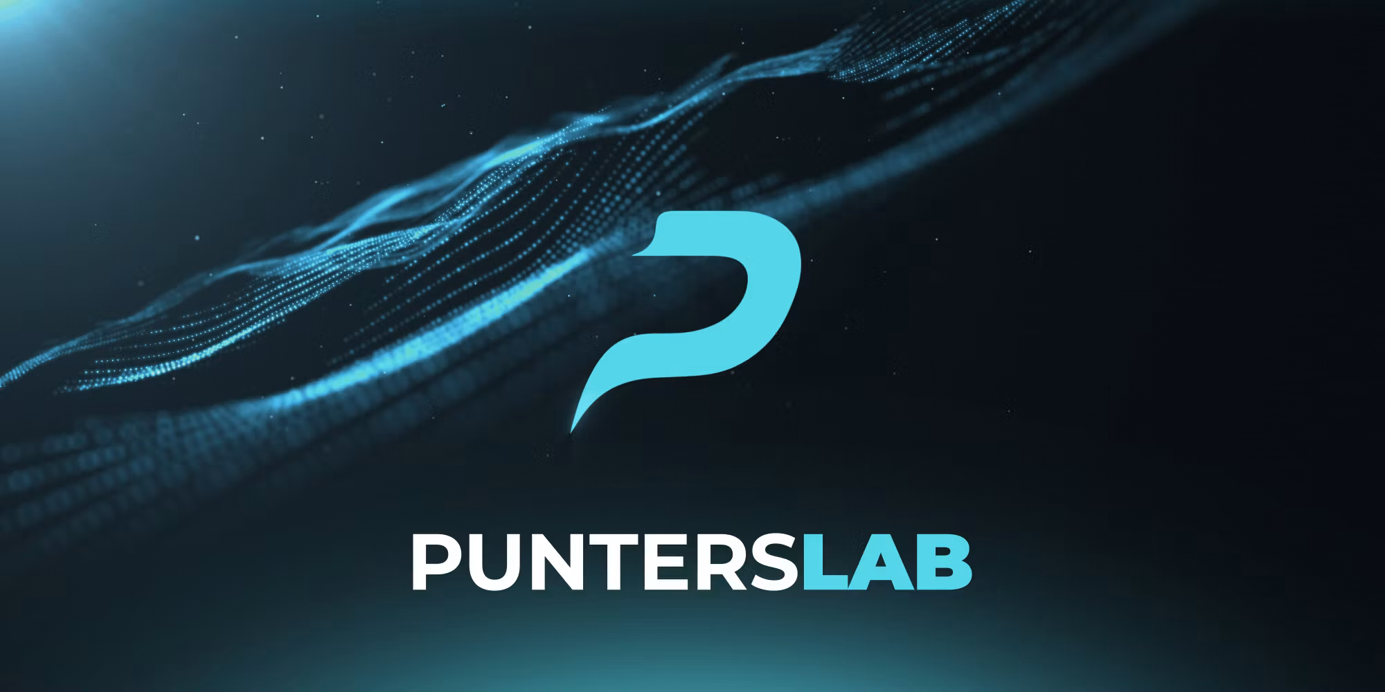 Punters Lab