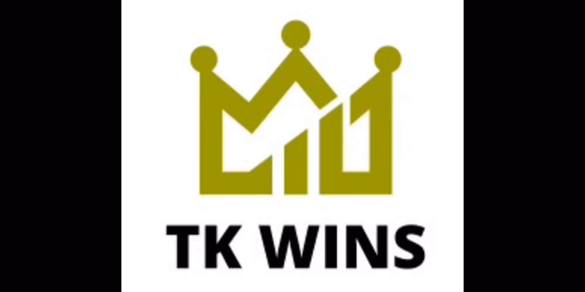 TKWINS VIP Access