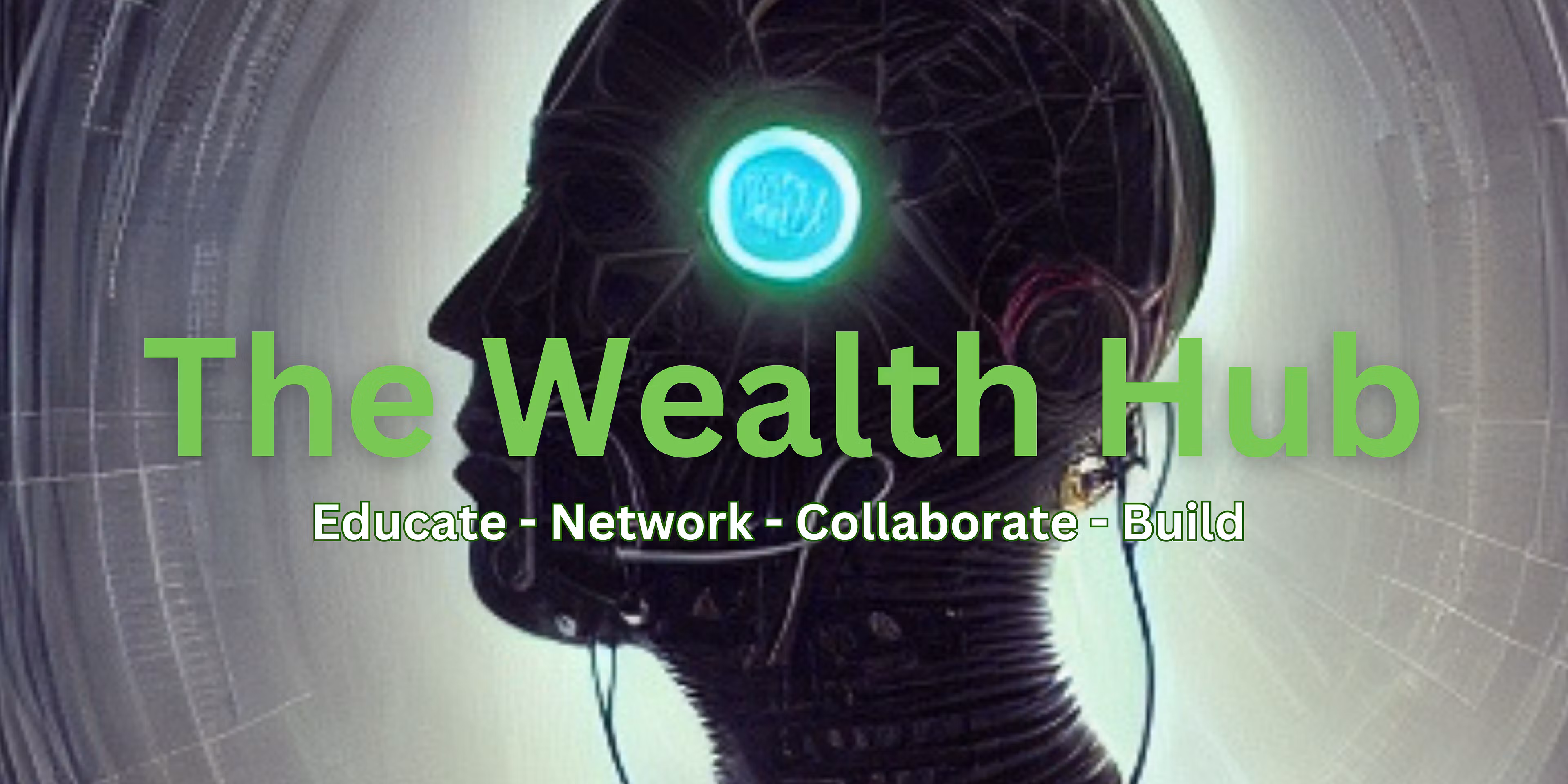 The Wealth Hub 