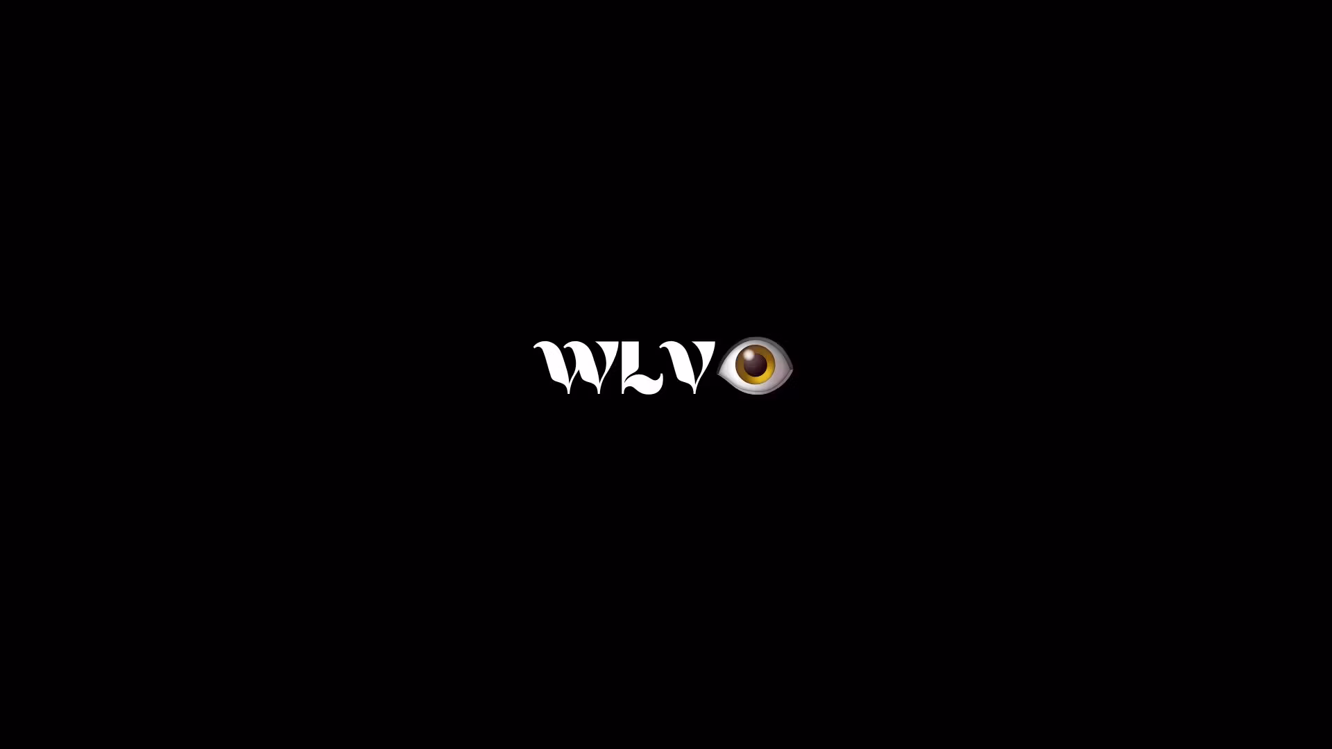 Wave Liquidity Vision
