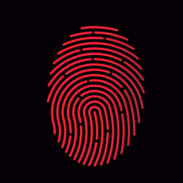 Forensic Forex