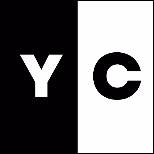 Young CEO'S