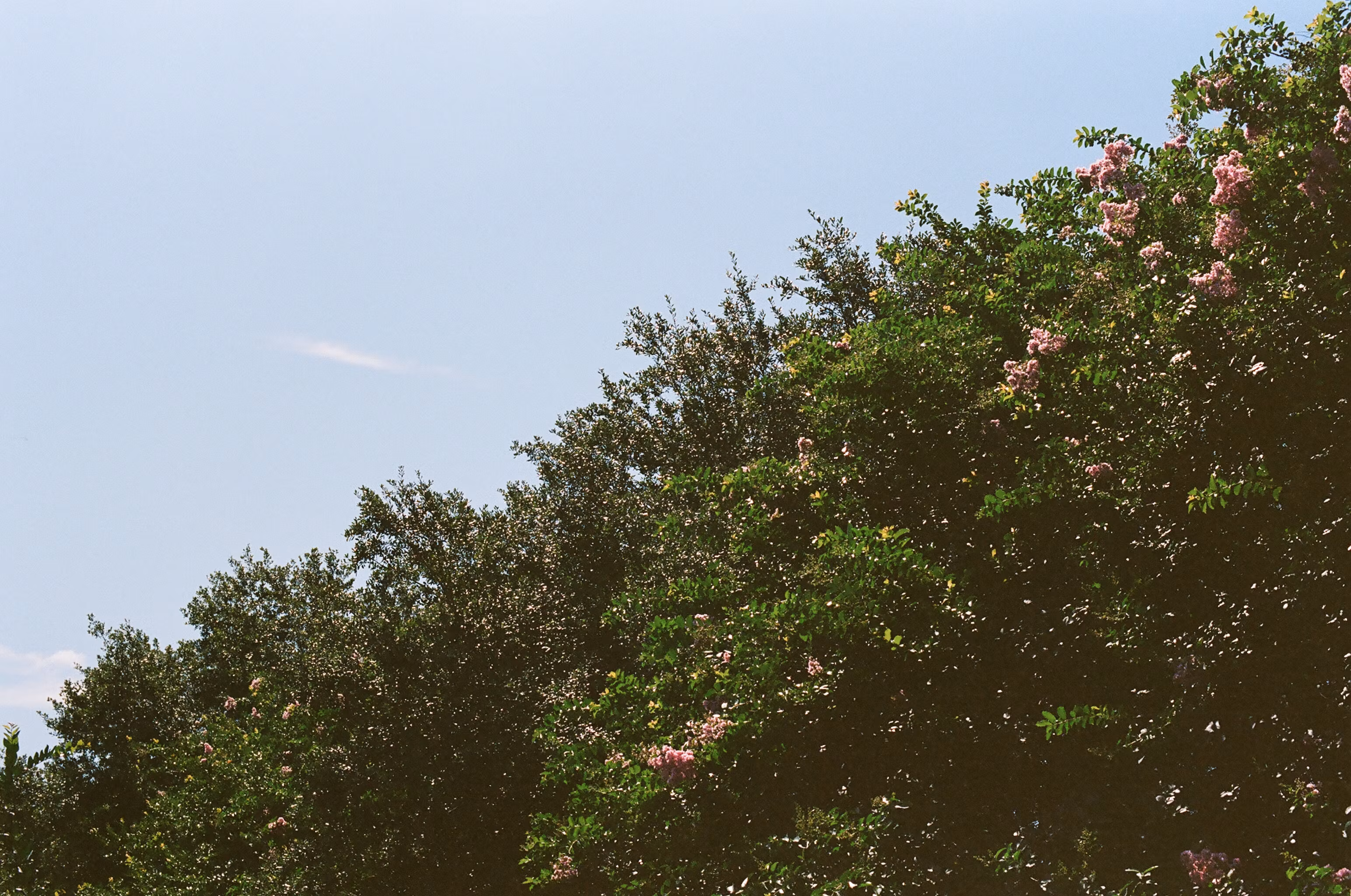 Profile banner