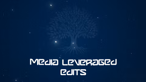 Media Leveraged Edits