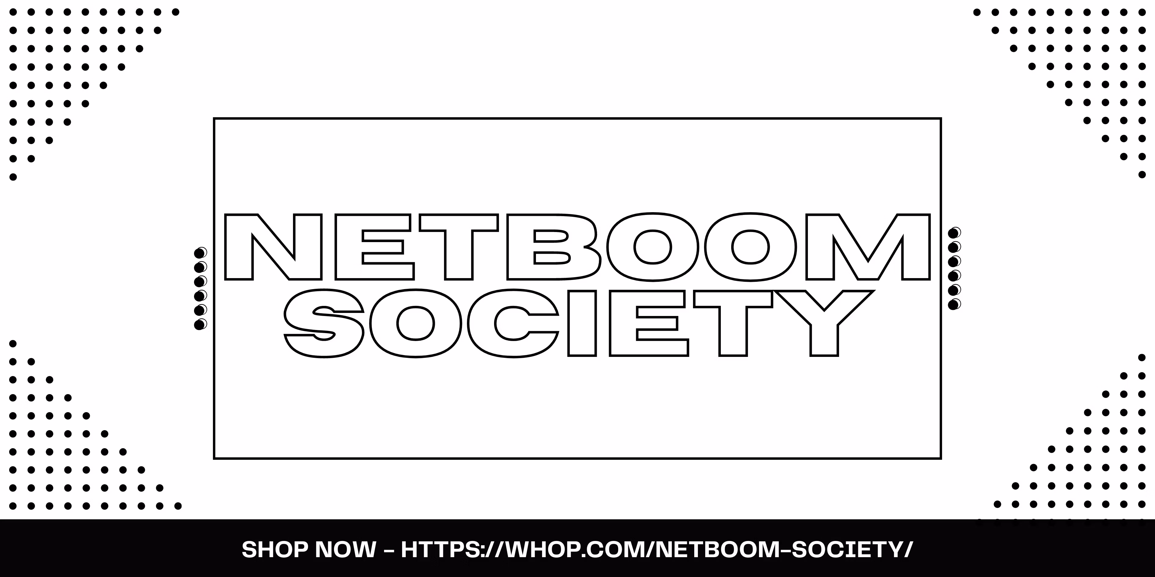 NetBoom Society