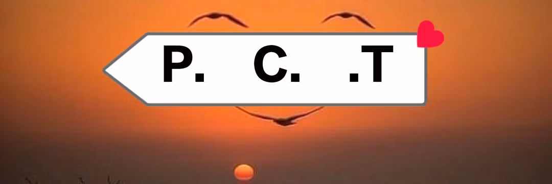 Primecopy trade 