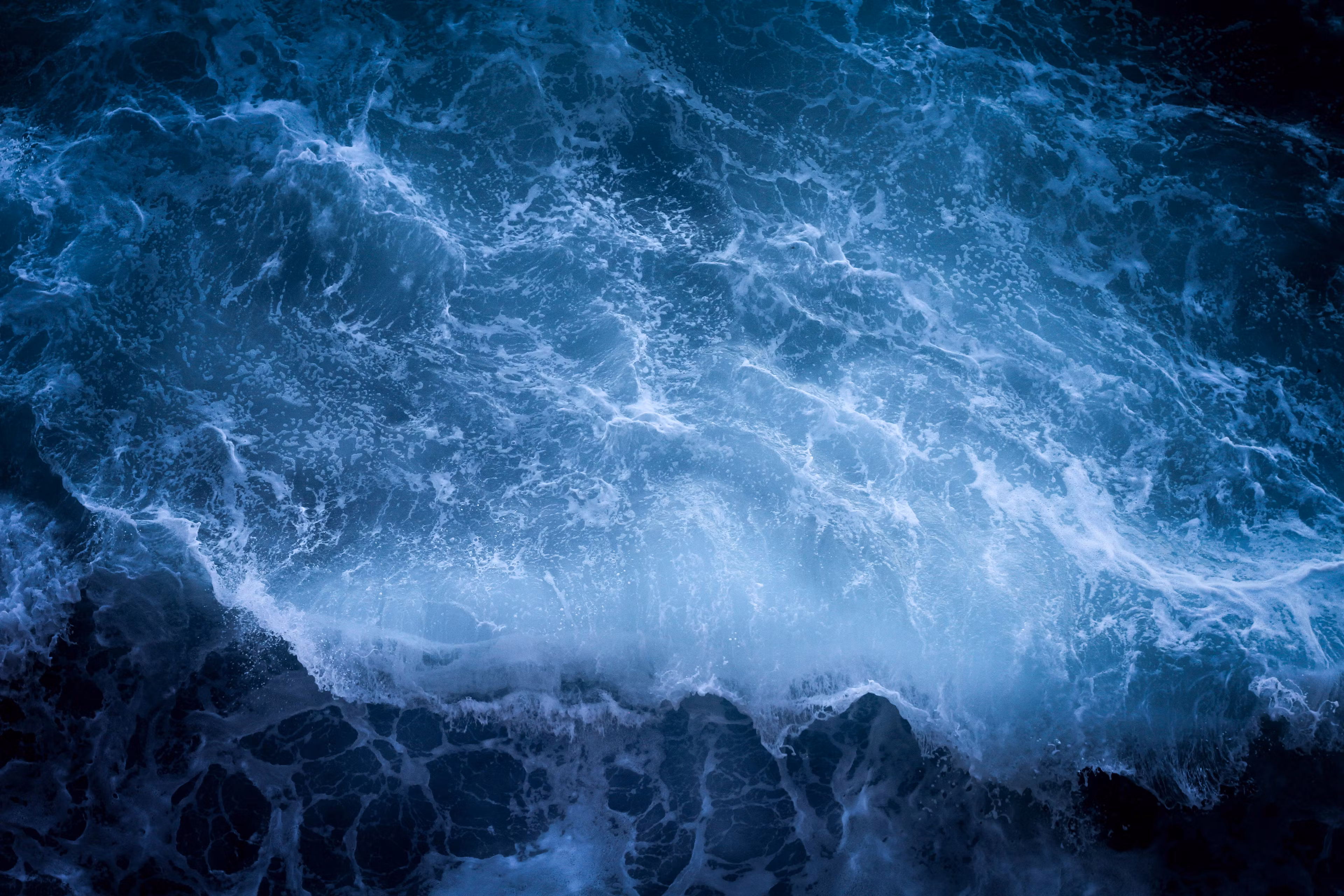 Wave Runner Capital