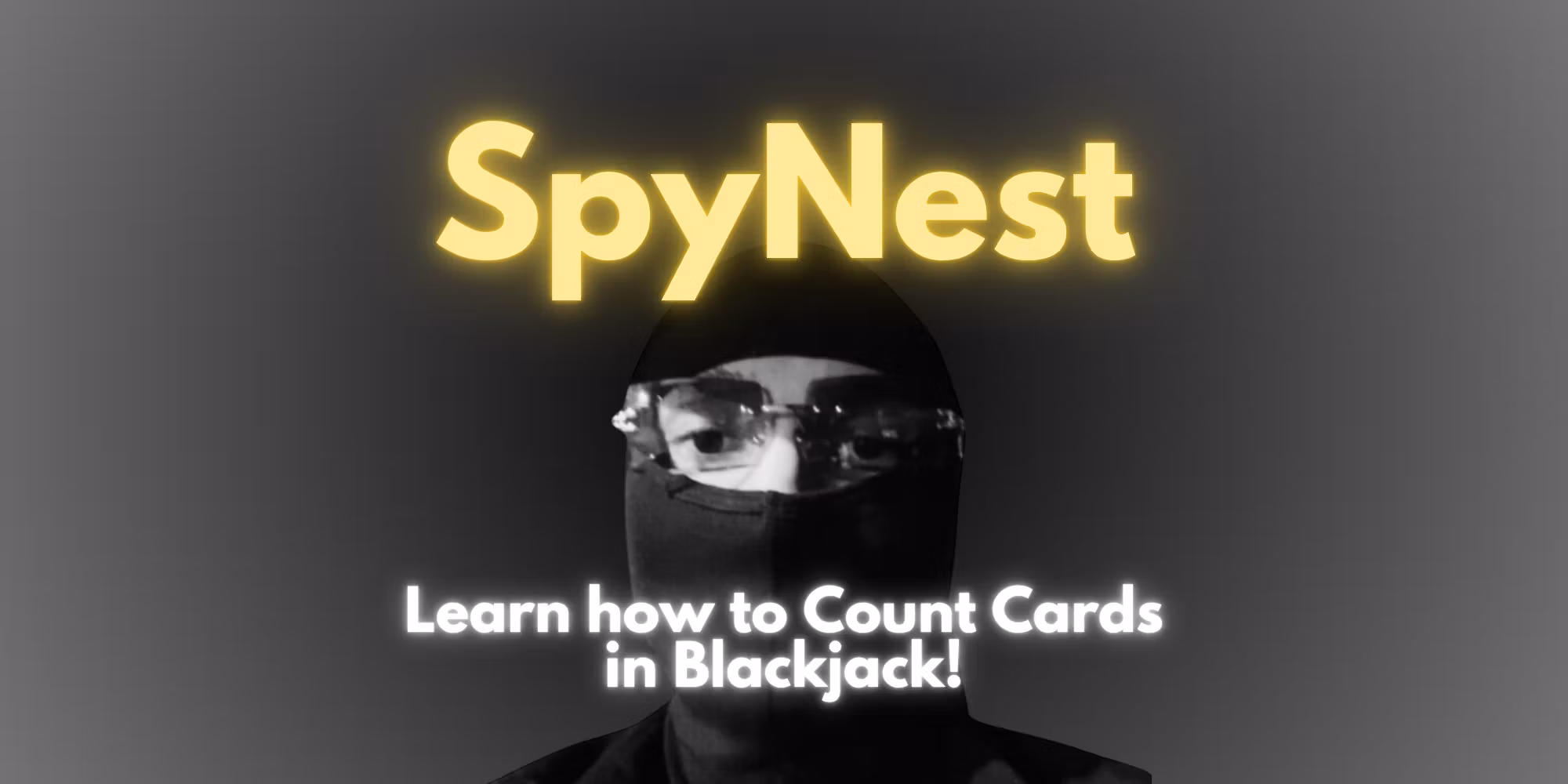 The SpyNest