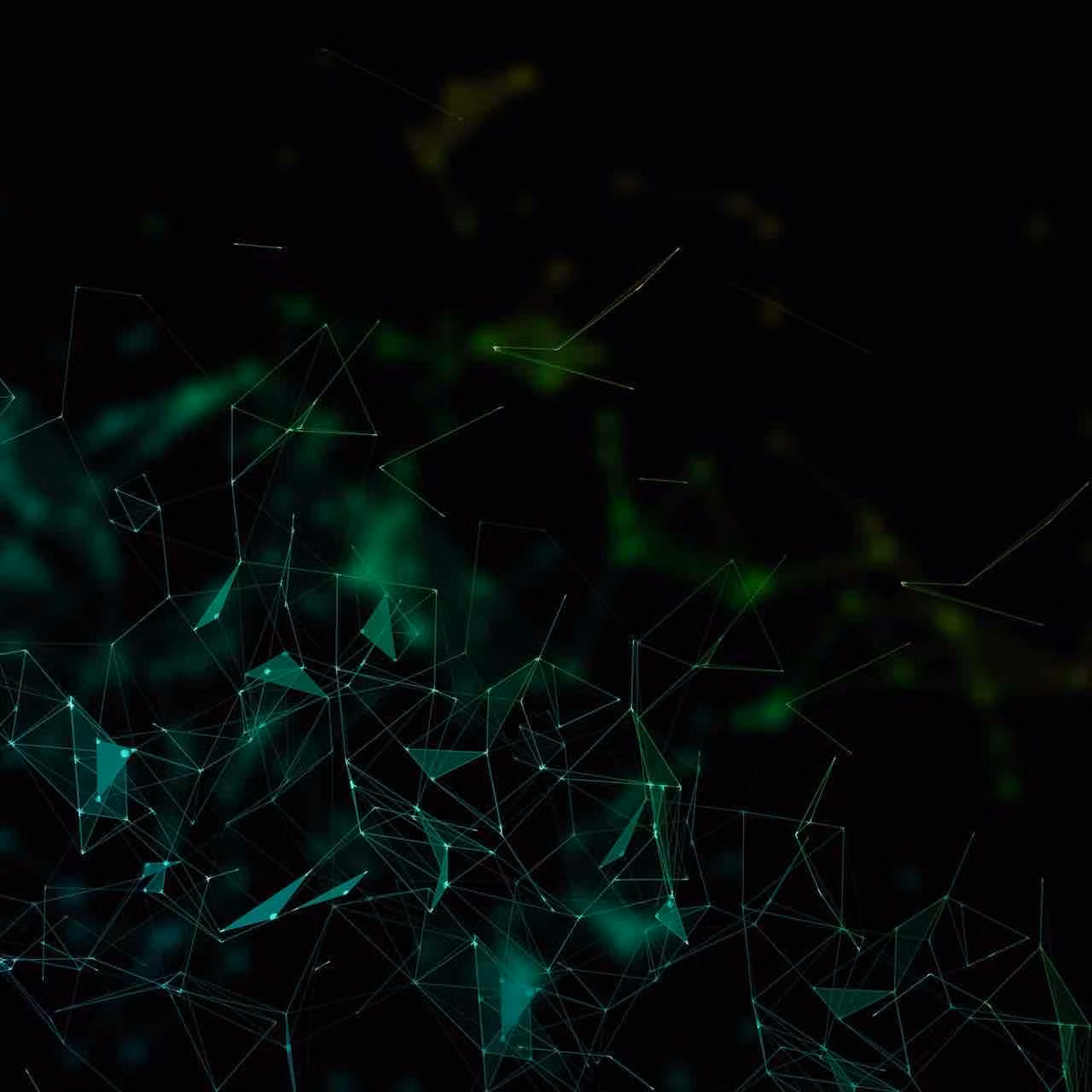 Profile banner