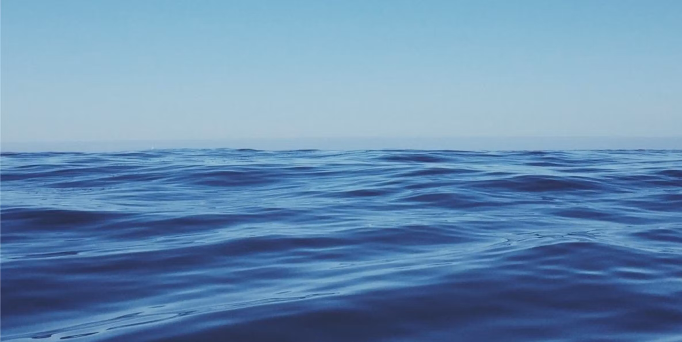 Profile banner