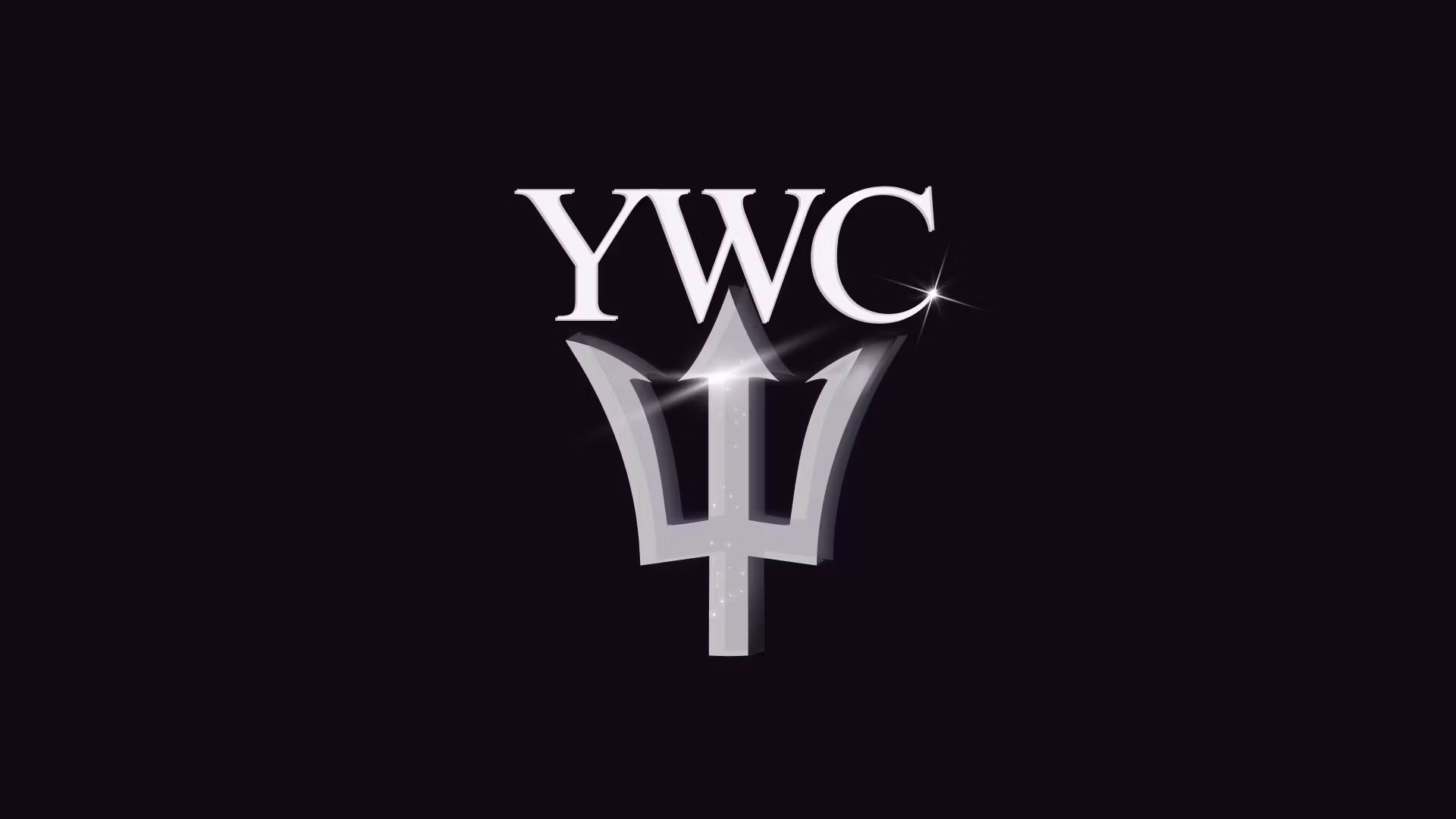 The Young Wealth Club