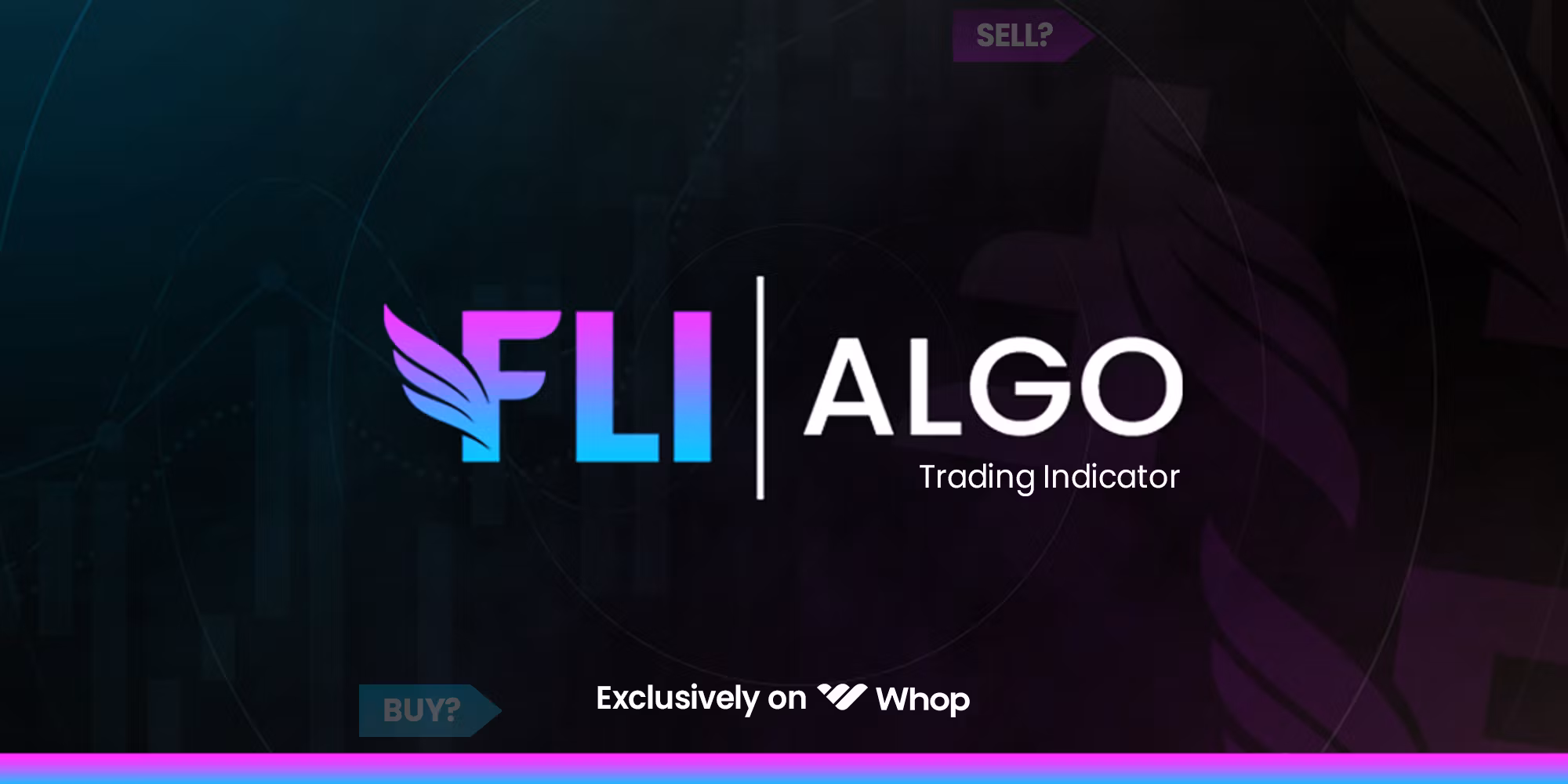 Old FLI Capital Discord