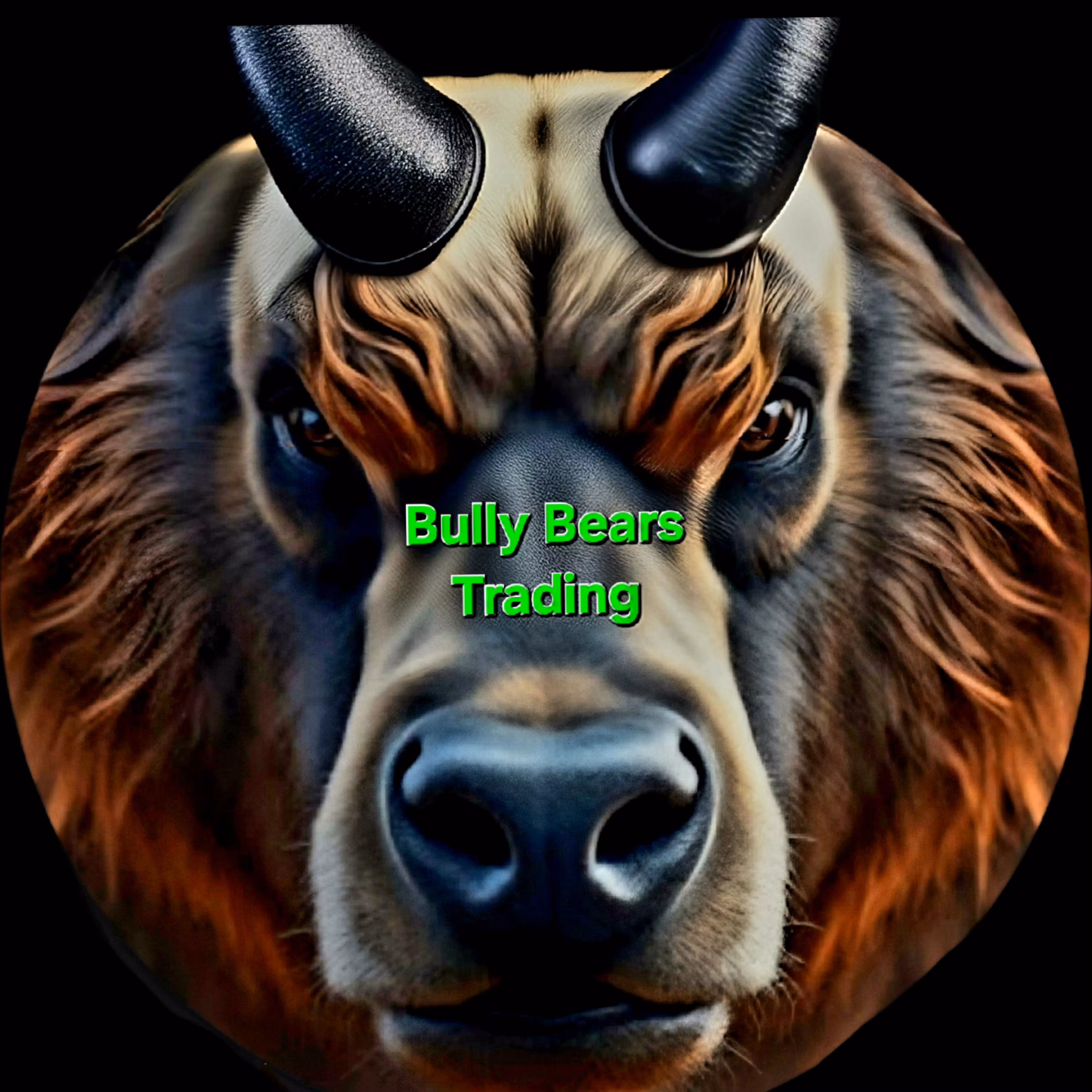 Bully Bears Trading